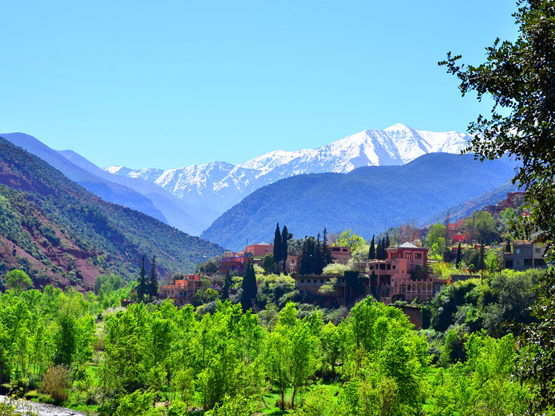 day-trip-to-ourika-valley-and-waterfalls-from-marrakech