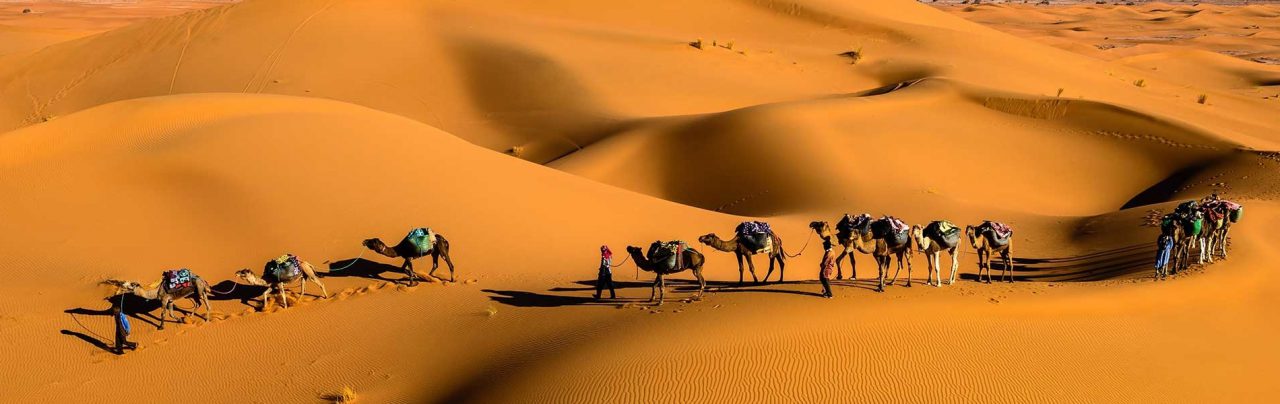 caravandesert1600x600