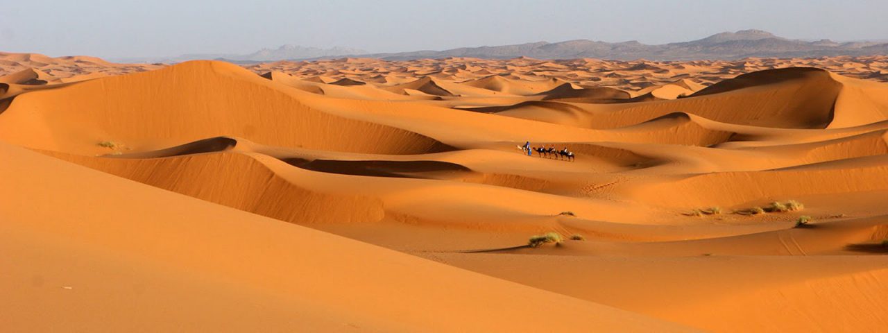 oferta-especial-fin-de-ano-en-el-desierto