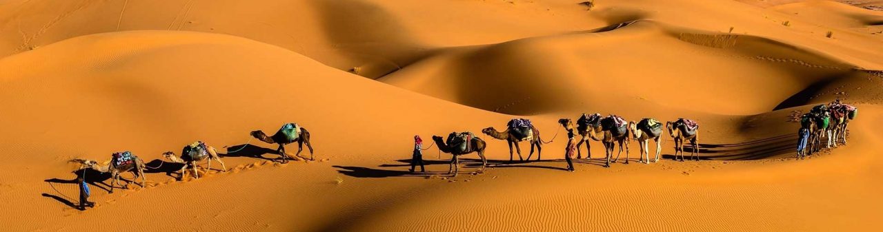 desert-banner2
